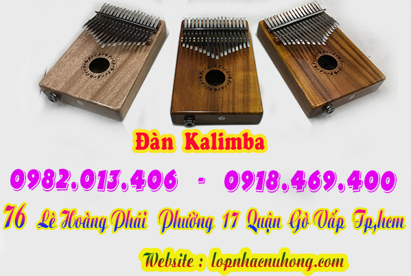 Shop bán đàn kalimba tại Sài Gòn, Gò Vấp, Tphcm 