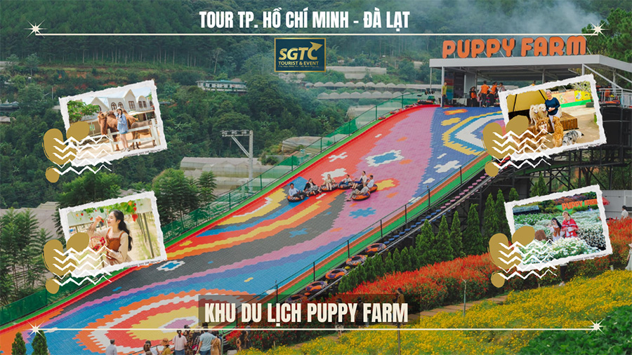 Tour Đà Lạt 3N3Đ, 3N2Đ trọn gói, giá rẻ