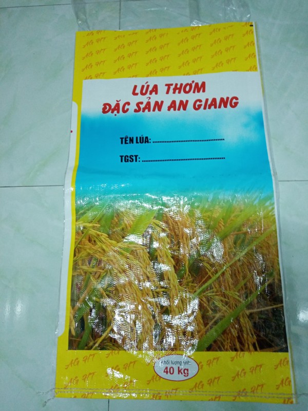 Bao lúa giống 40kg có sẵn sll dễ đặt hàng