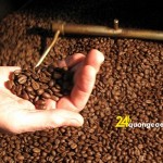 Rang xay cà phê gia công giá rẻ