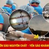 Bán tổ yến sào nguyên chất giá rẻ