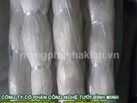 Lưới cước giàn leo, lưới làm giàn cho bầu bí, lưới  cước giàn leo trong nông nghiệp