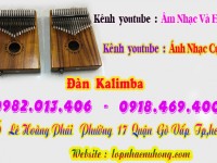 Shop bán đàn kalimba tại Sài Gòn, Gò Vấp, Tphcm 