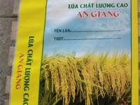 Bao lúa giống 40kg có sẵn sll dễ đặt hàng