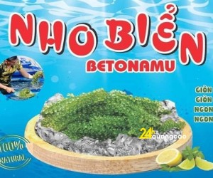 Rong nho biển Betonamu