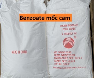 Chất bảo quản, mốc cam Sodium Benzoate E211