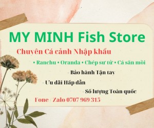 Chuyên sỉ chép sư tử vàng toàn quốc 0707 969 315